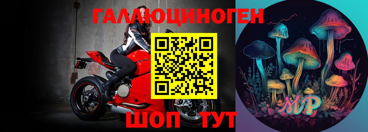 Псилоцибиновые грибы GOLDEN TEACHER Шахты